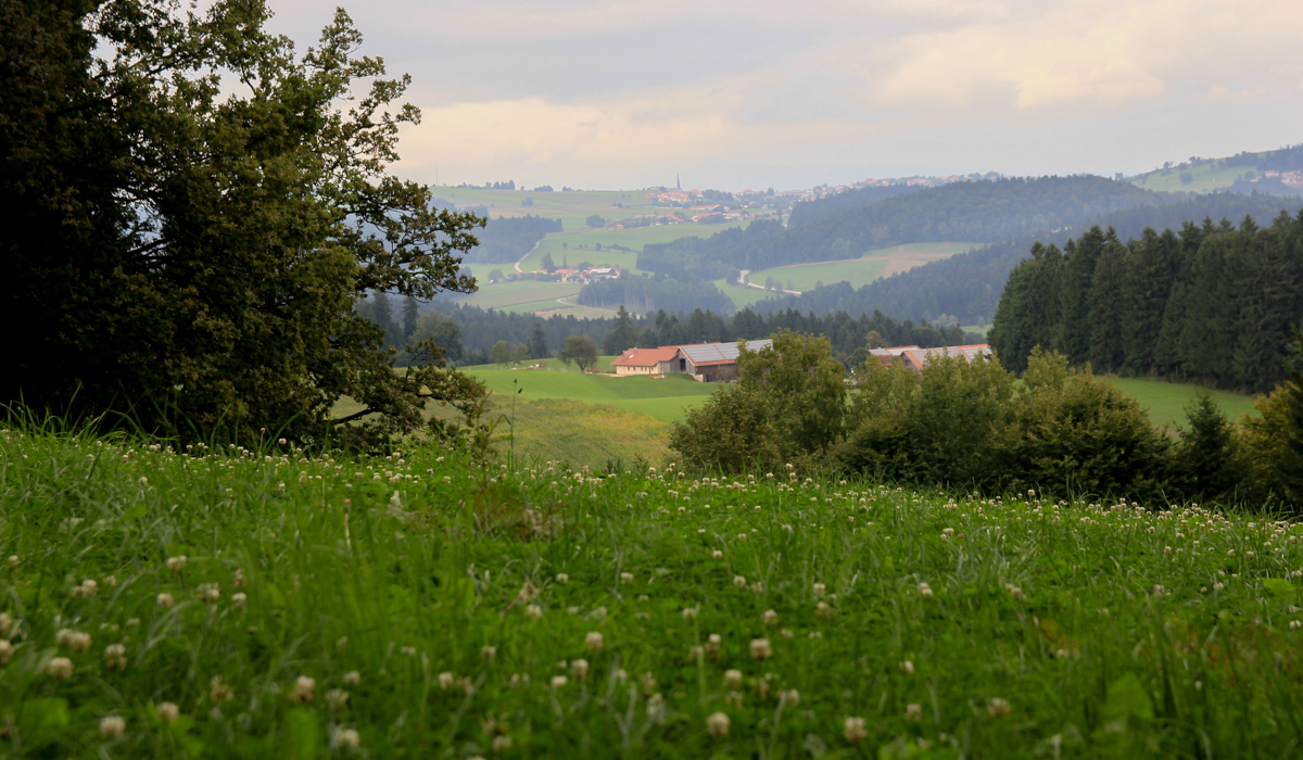 Bayern