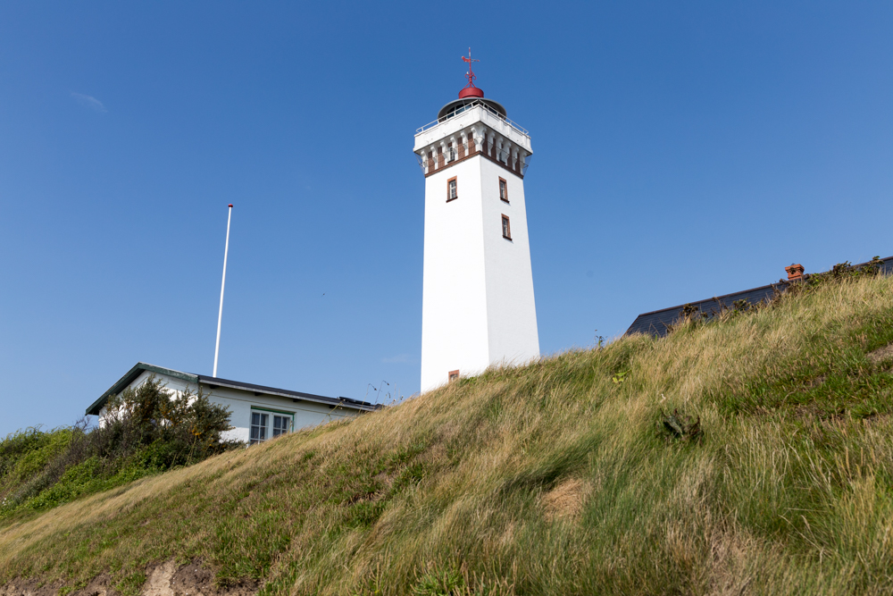 Dnemark