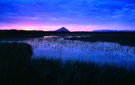 Bilderbericht Myvatnsee