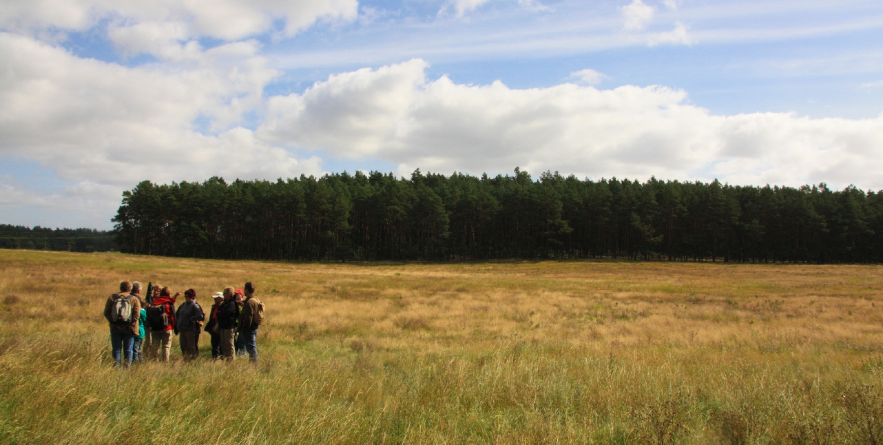 Müritz Nationalpark