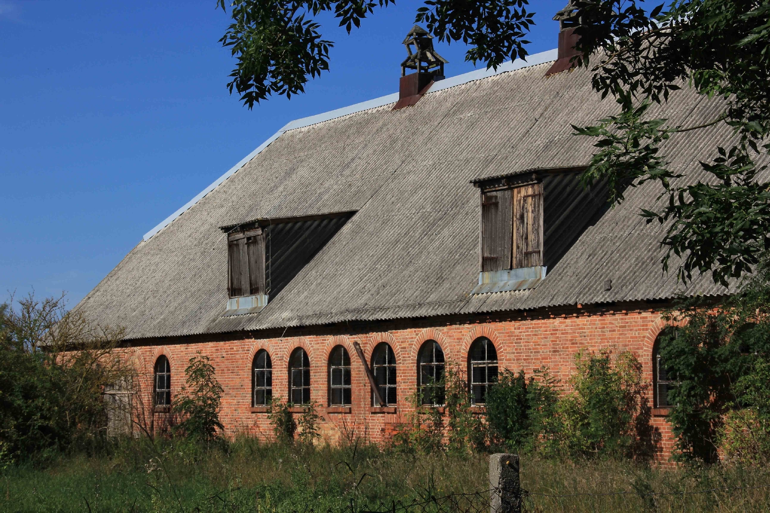Müritz Nationalpark