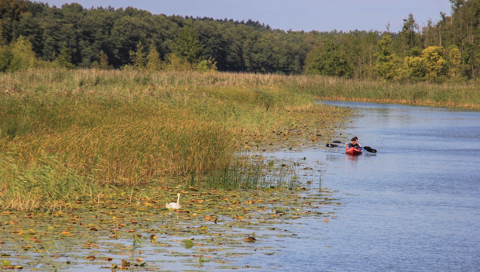 Müritz Nationalpark