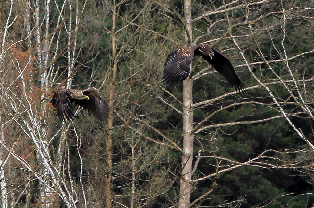 Müritz Nationalpark