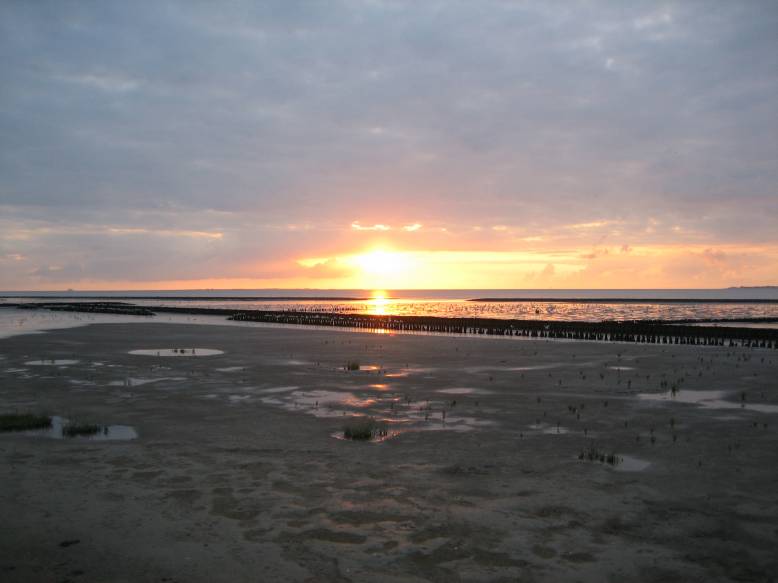 Ostfriesland 2008