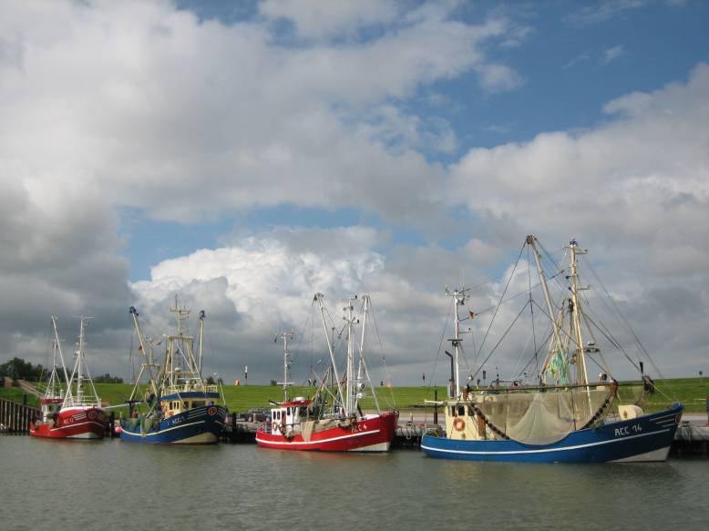 Ostfriesland 2008