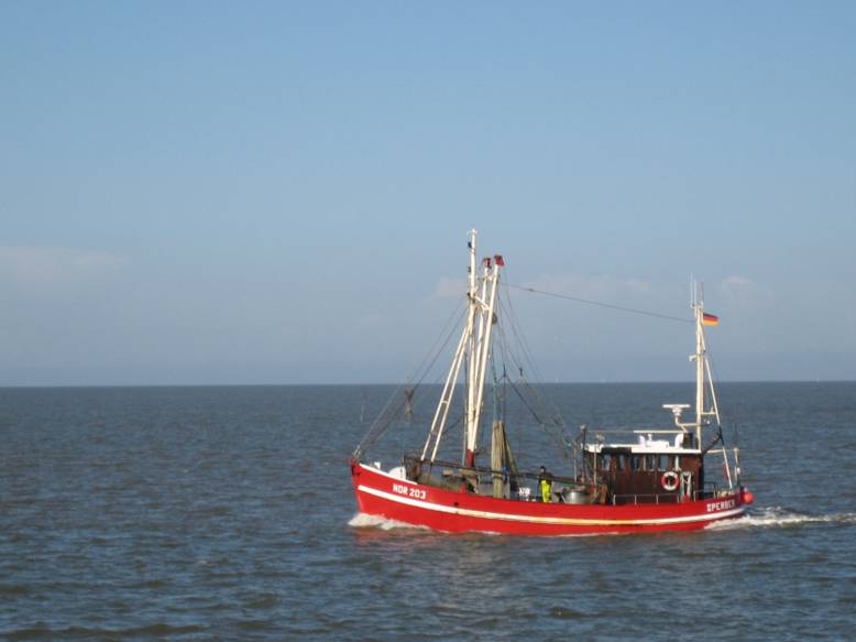 Ostfriesland 2008