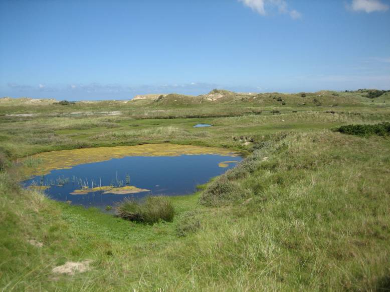 Ostfriesland 2008