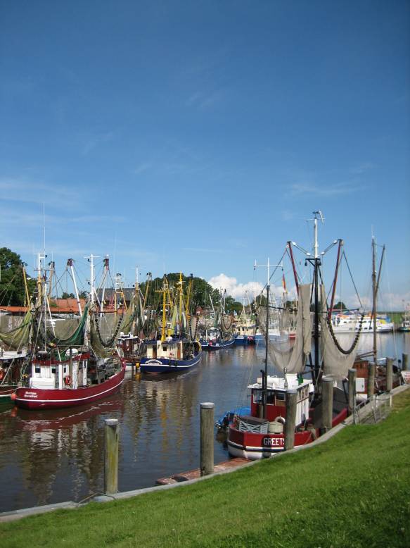 Ostfriesland 2008