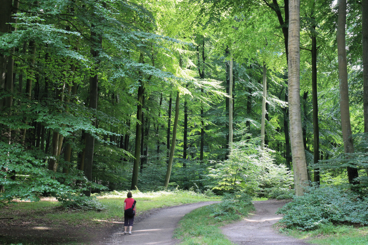 Ostsee