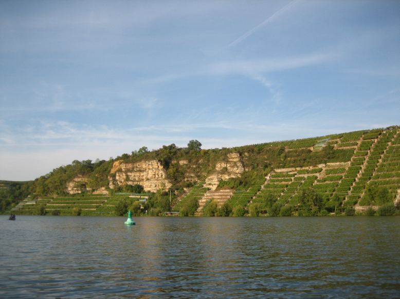 paddeln