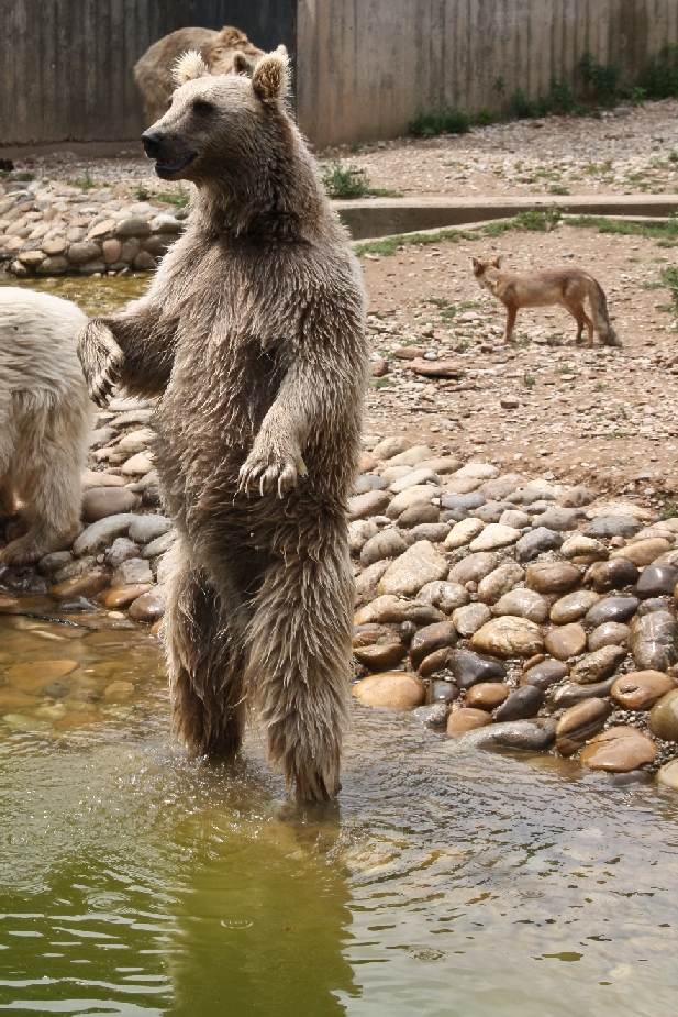 Zoo Heidelberg