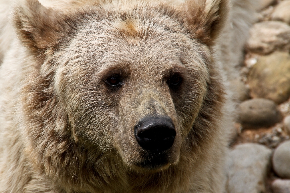 Zoo Heidelberg