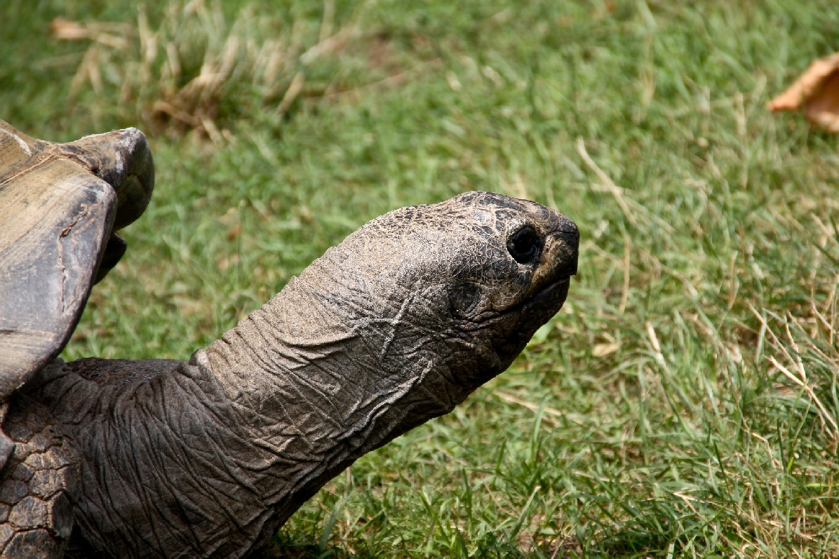 Zoo Heidelberg